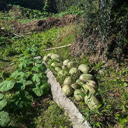 Dom wakacyjny Casa Do Valo Amonde