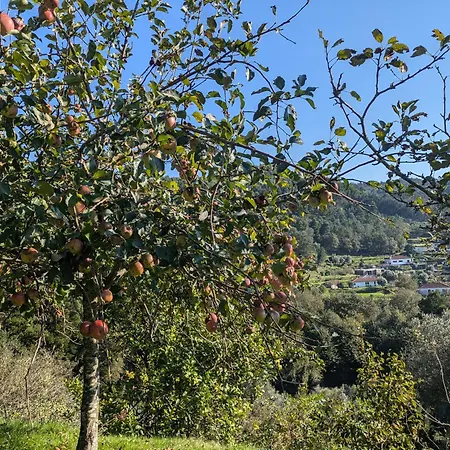 Casa Do Valo * Amonde