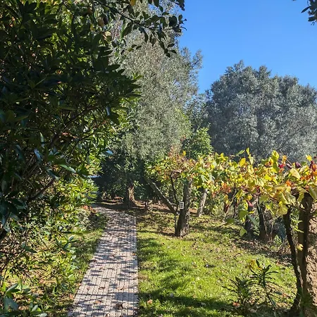 Casa Do Valo Holiday home Amonde