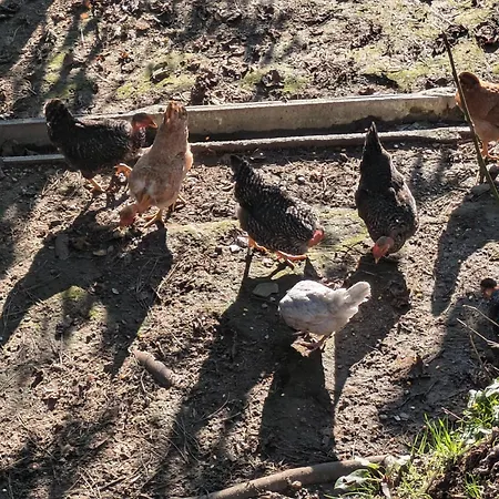 Casa Do Valo Tatil Evi