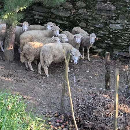 Casa Do Valo * Amonde