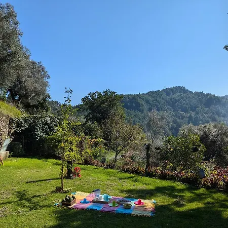 Hébergement de vacances Casa Do Valo Amonde