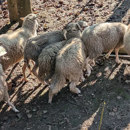 Dom wakacyjny Casa Do Valo Amonde