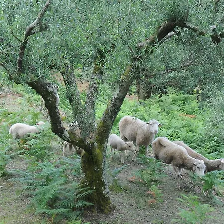 Tatil Evi Casa Do Valo