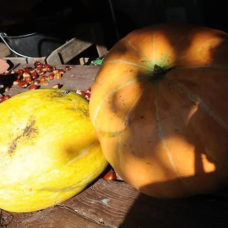 Hébergement de vacances Casa Do Valo *