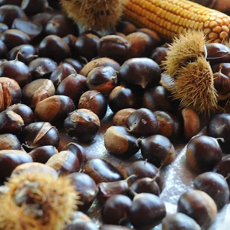 Casa Do Valo Dom wakacyjny Amonde