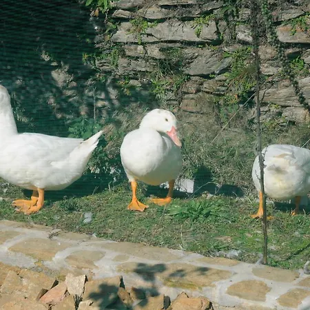 Dom wakacyjny Casa Do Valo