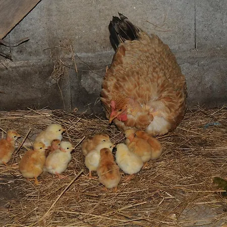 Casa Do Valo Hébergement de vacances *