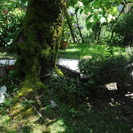 Tatil Evi Casa Do Valo *