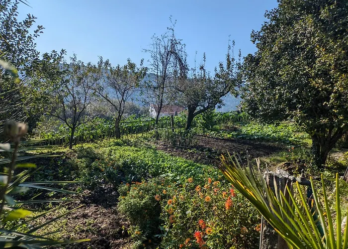 Casa Do Valo Tatil Evi *