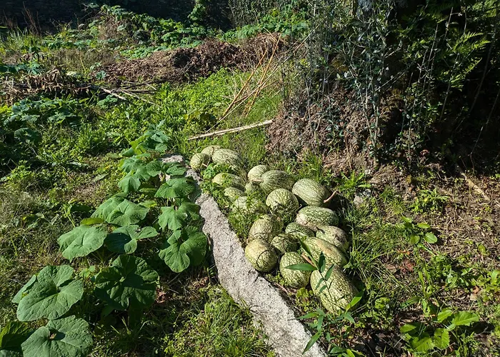Tatil Evi Casa Do Valo Amonde