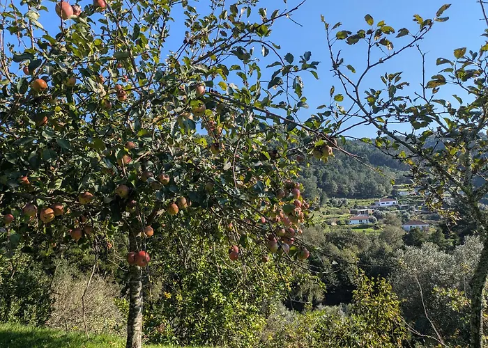 Casa Do Valo * Amonde