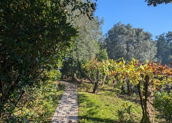 Casa Do Valo Tatil Evi Amonde