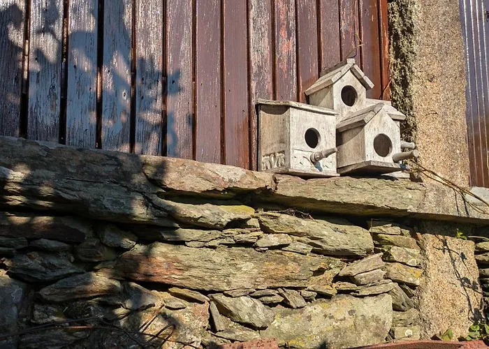 Tatil Evi Casa Do Valo Amonde