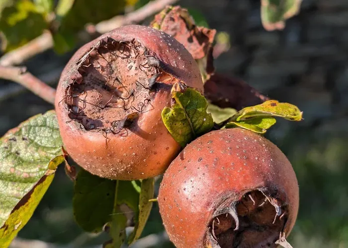 度假居 Casa Do Valo Amonde