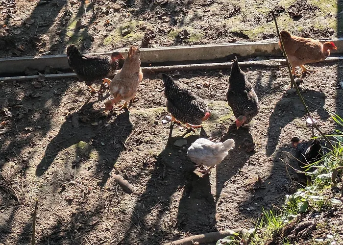 Casa Do Valo 度假居