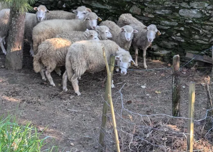 Casa Do Valo * Amonde