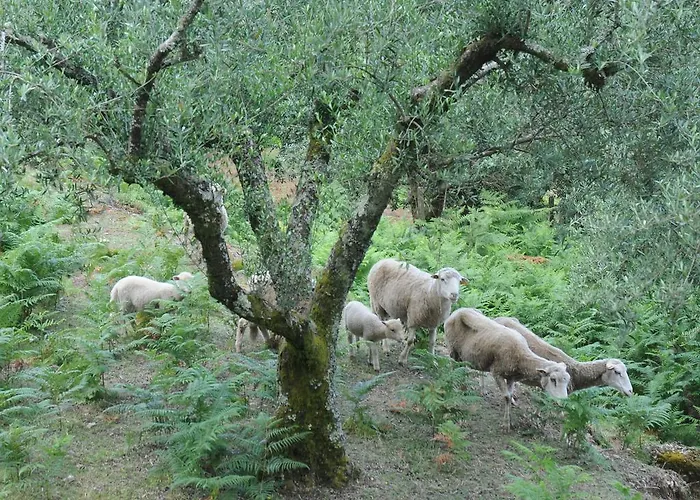 Tatil Evi Casa Do Valo