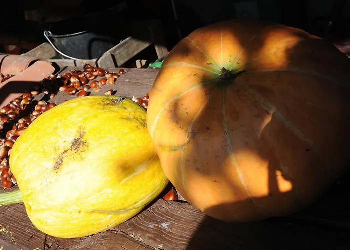 度假居 Casa Do Valo *