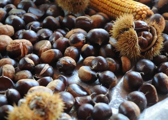 Casa Do Valo Tatil Evi Amonde