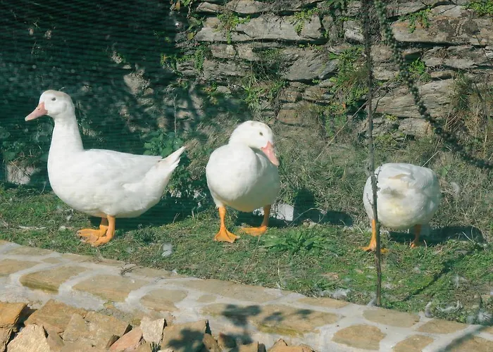 Tatil Evi Casa Do Valo