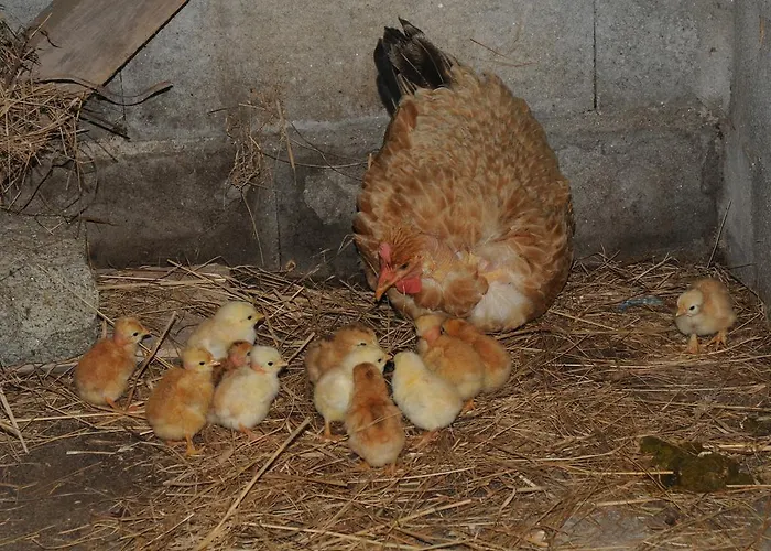 Casa Do Valo Tatil Evi *